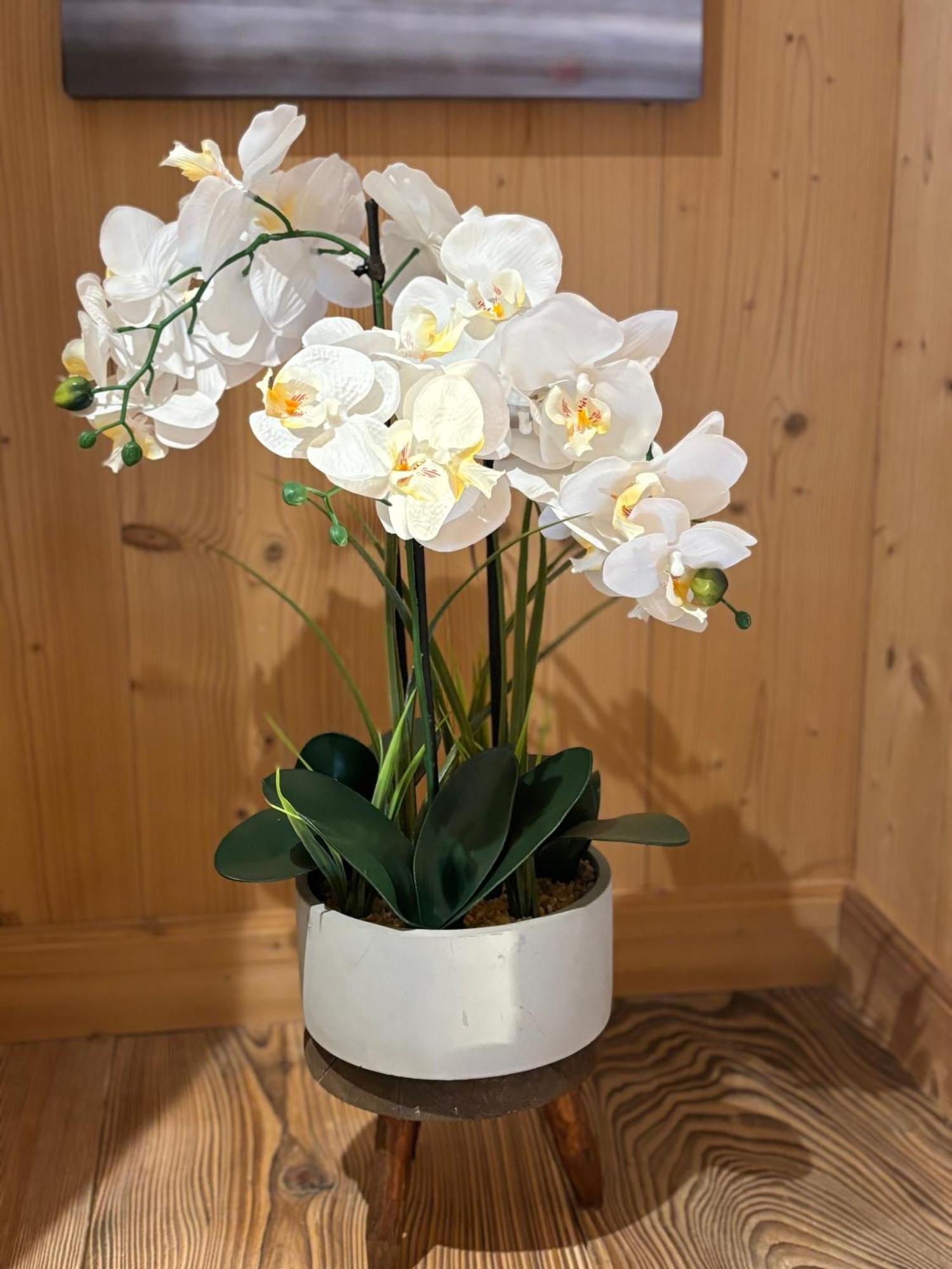 Chalet L'Aberiot 蒙特里永 外观 照片